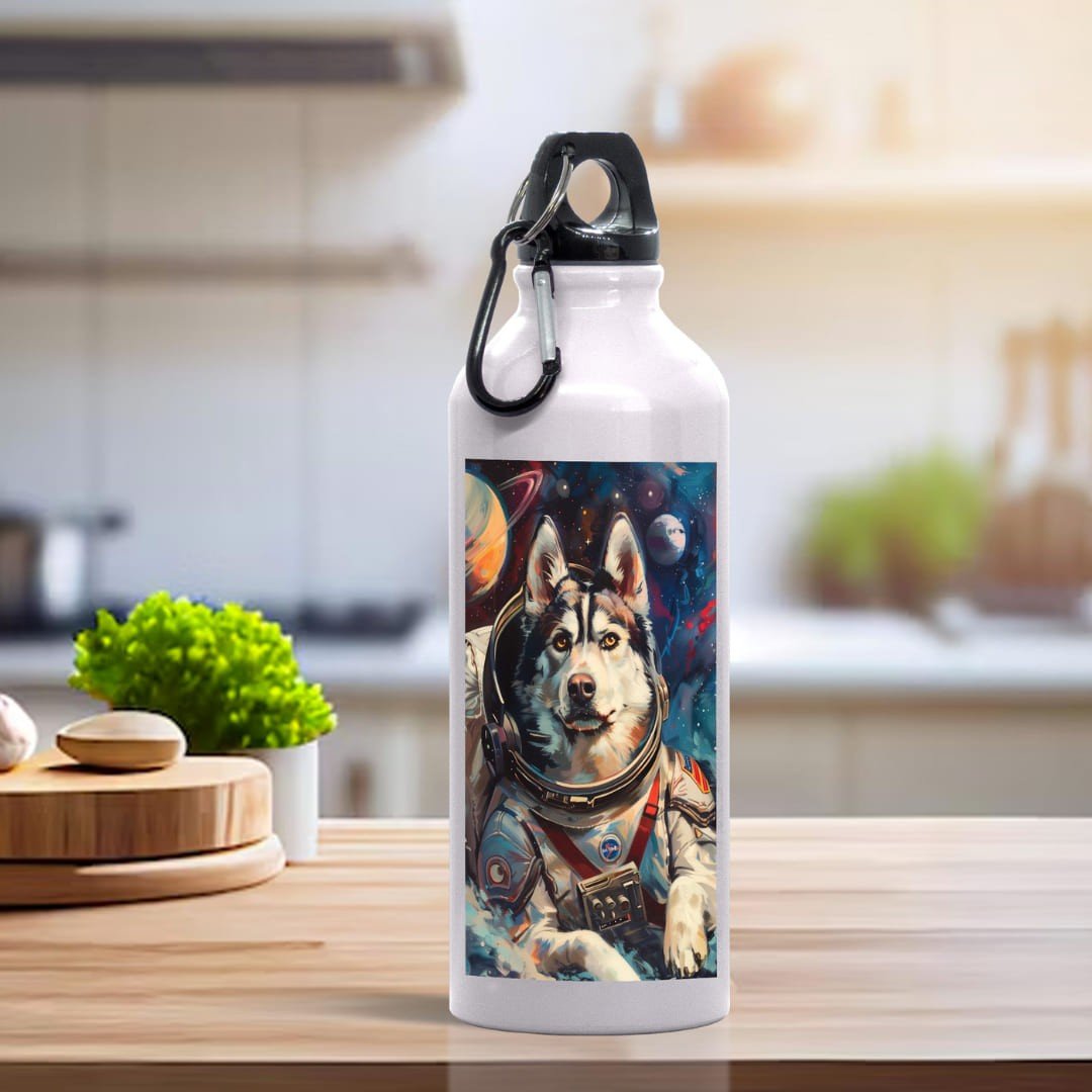 Galaxy Dog